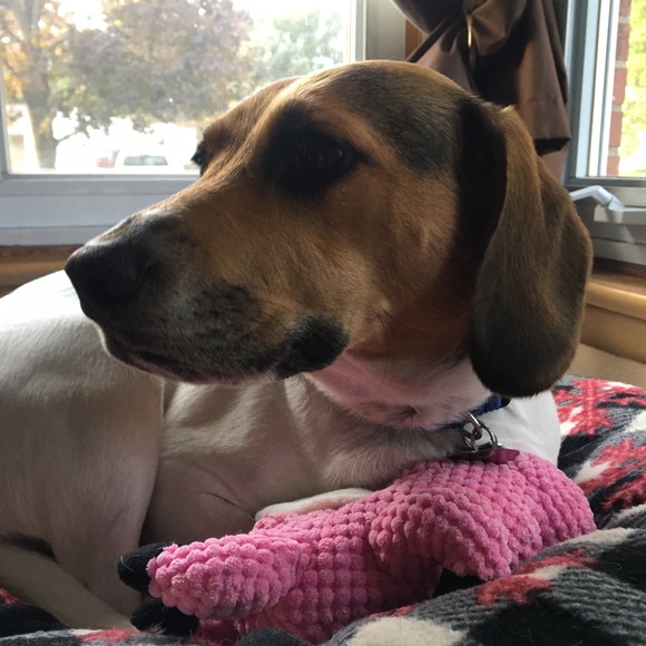 Meet your Posher, Megan - Picture 1 of 1